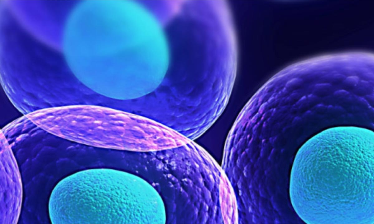 An Introduction to Biotechnology